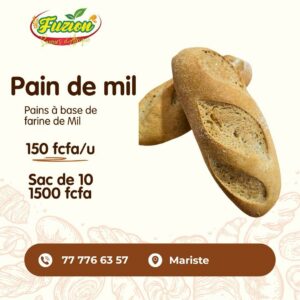 Pain de mil en sac de 10